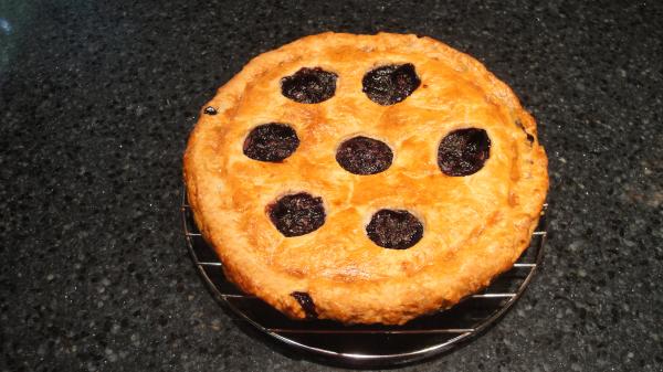 Second try blueberry pie