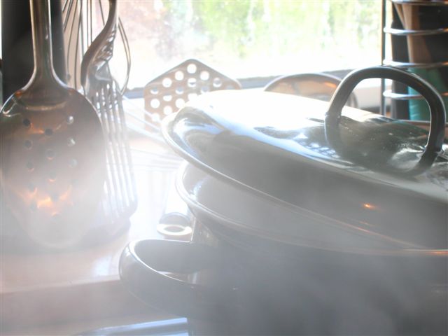 Tony grabbed this shot while I was cooking one day, I sort of think it looks like smoke not steam, but he likes the affect and it's a good "slice of l