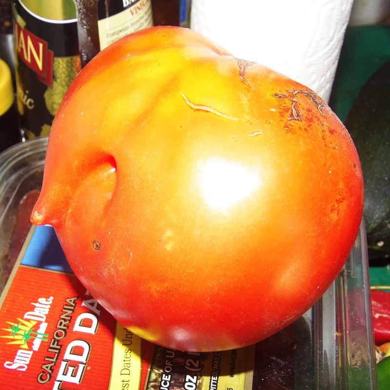 mutant-tomato-002.jpg