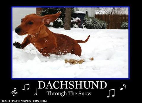 dachsing+thru+the+snow.jpg