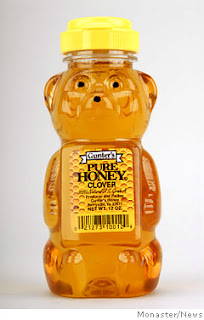 honey+bear.jpg