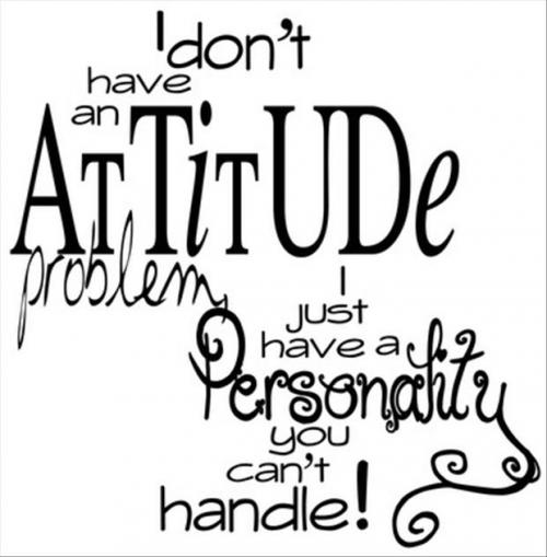 65038_20130205_014516_funny-quotes-i-do-not-have-an-attitude-problem.jpg